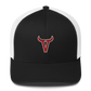 La Jolla High School  Trucker Cap