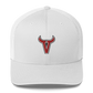 La Jolla High School  Trucker Cap