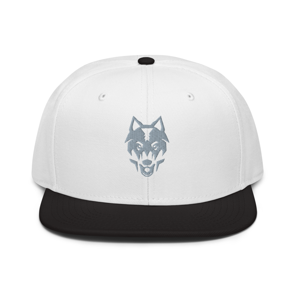 Odessa Collegiate Academy - Snapback