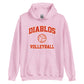 Diablos Volleyball Unisex Hoodie
