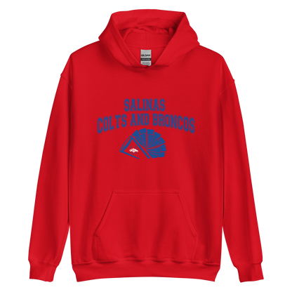 Colts & Broncos Cheer Hoodie