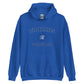 Lower Lake Volleyball Unisex Hoodie