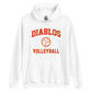 Diablos Volleyball Unisex Hoodie