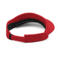 Raptors Soccer Visor