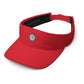 Sharks Visor