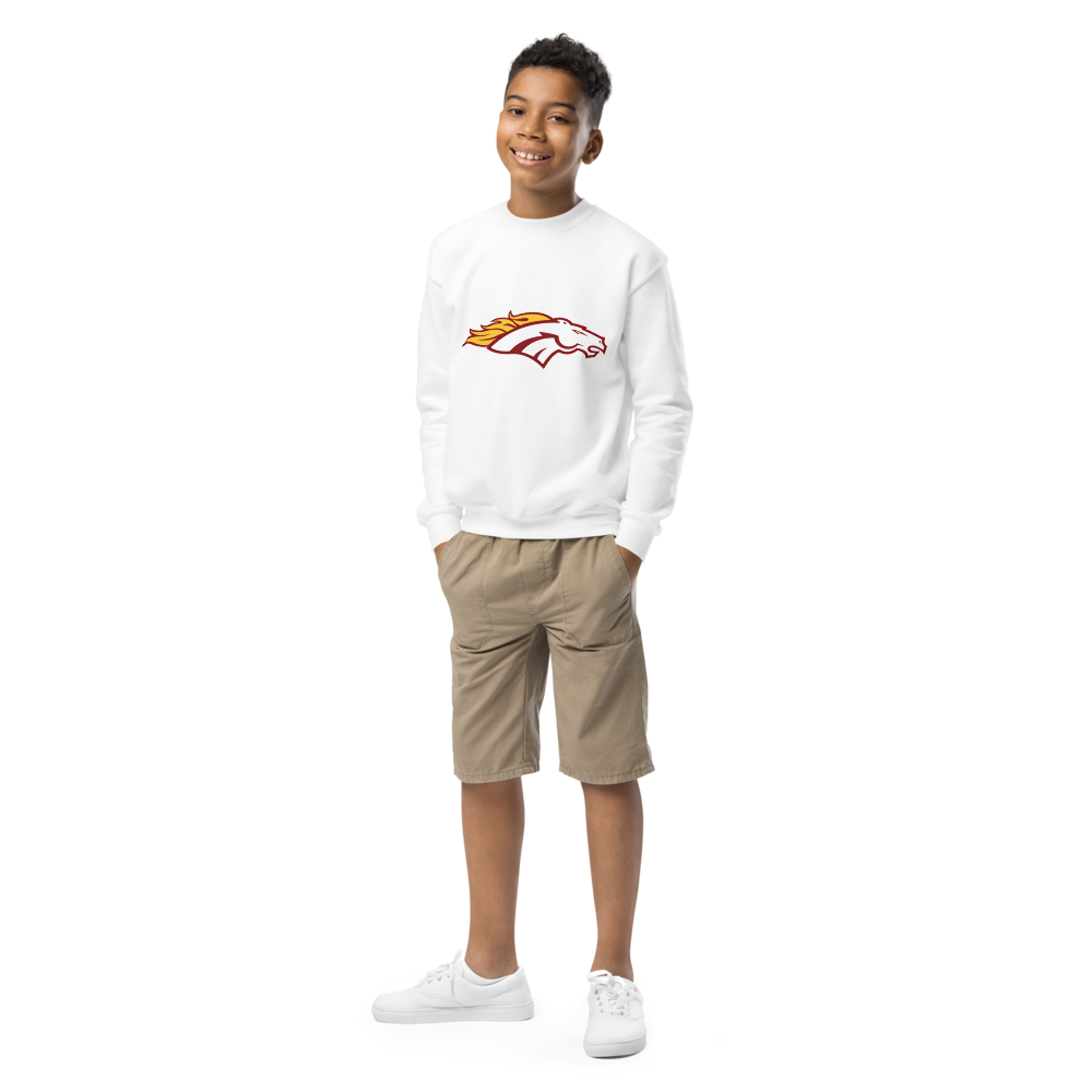 Northgate Cheer - Youth Crew Neck Sweatshirt